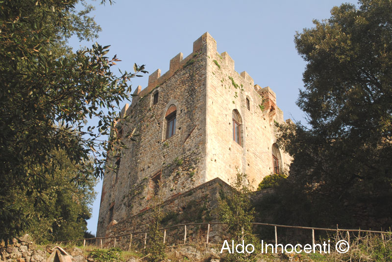 CASTELLO DI CAPRAIA: MASTIO 4' IMMAGINE